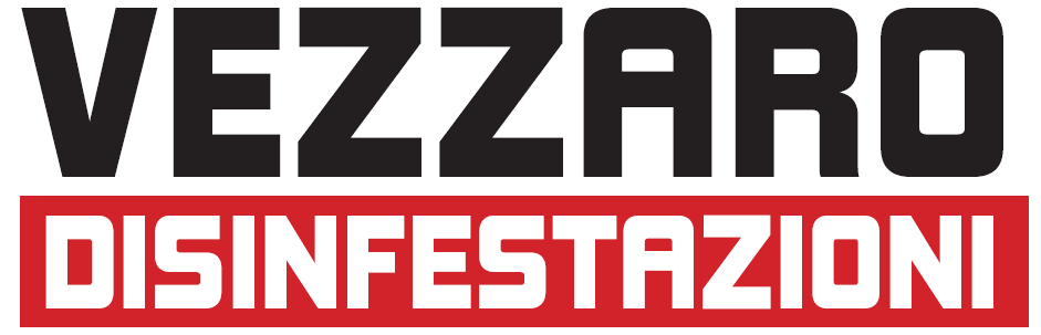 Pagina iniziale